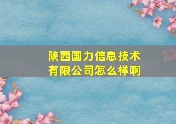 陕西国力信息技术有限公司怎么样啊