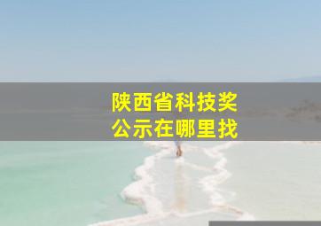 陕西省科技奖公示在哪里找