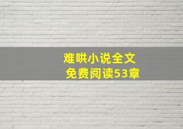 难哄小说全文免费阅读53章