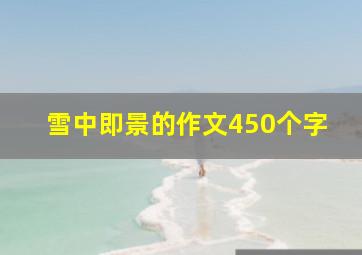 雪中即景的作文450个字