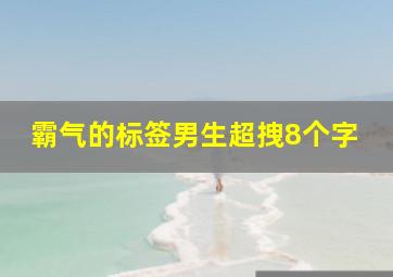 霸气的标签男生超拽8个字