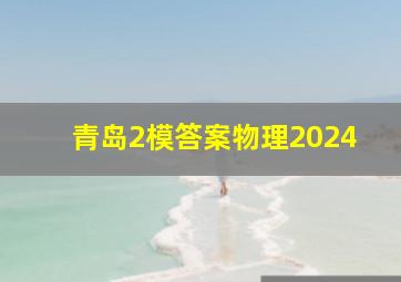 青岛2模答案物理2024