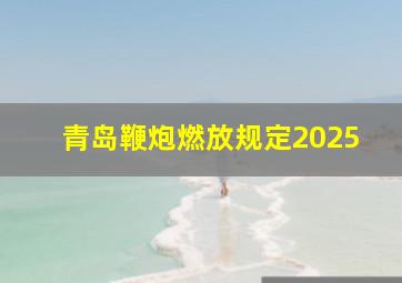 青岛鞭炮燃放规定2025