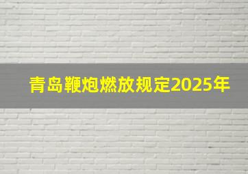 青岛鞭炮燃放规定2025年