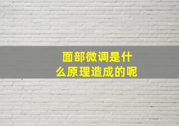 面部微调是什么原理造成的呢