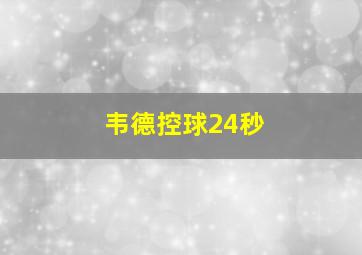 韦德控球24秒