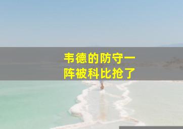 韦德的防守一阵被科比抢了