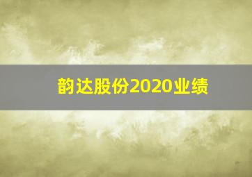 韵达股份2020业绩