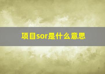 项目sor是什么意思