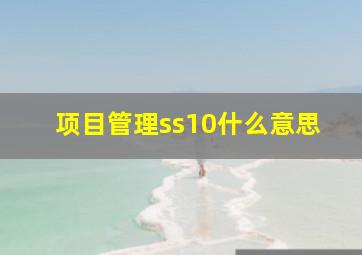 项目管理ss10什么意思