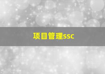 项目管理ssc