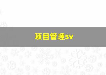 项目管理sv