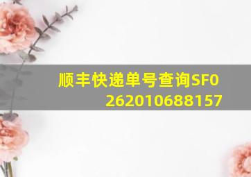 顺丰快递单号查询SF0262010688157