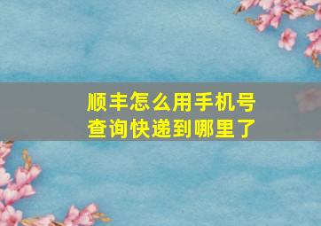 顺丰怎么用手机号查询快递到哪里了