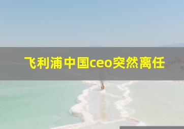 飞利浦中国ceo突然离任