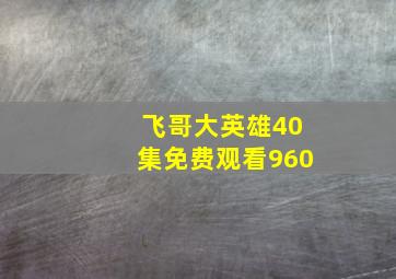 飞哥大英雄40集免费观看960