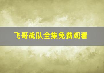 飞哥战队全集免费观看