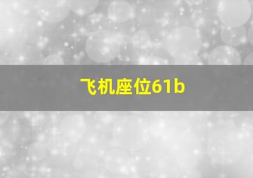 飞机座位61b