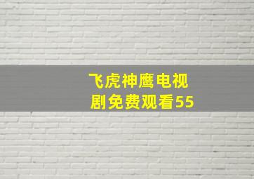 飞虎神鹰电视剧免费观看55