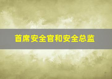 首席安全官和安全总监