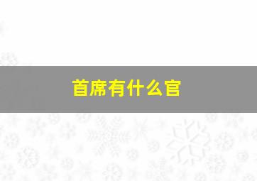 首席有什么官