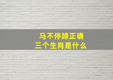 马不停蹄正确三个生肖是什么