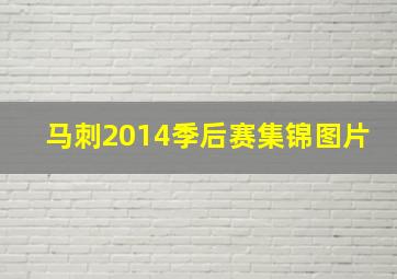 马刺2014季后赛集锦图片