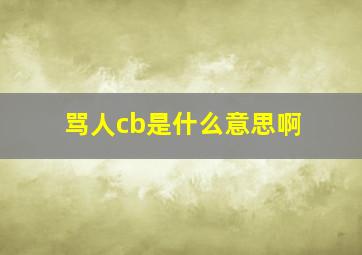 骂人cb是什么意思啊