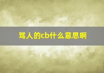 骂人的cb什么意思啊