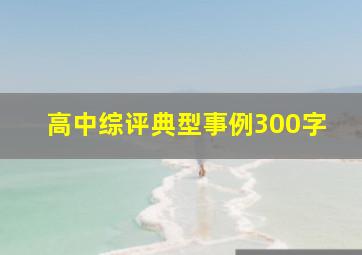 高中综评典型事例300字