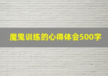 魔鬼训练的心得体会500字