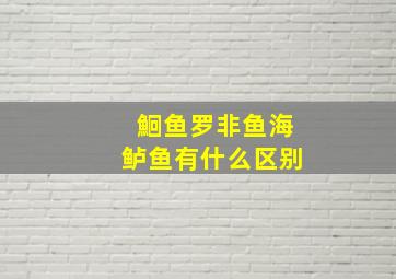 鮰鱼罗非鱼海鲈鱼有什么区别