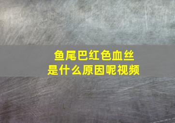 鱼尾巴红色血丝是什么原因呢视频