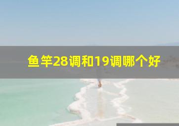 鱼竿28调和19调哪个好