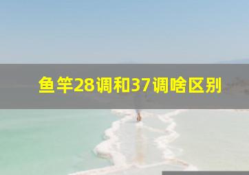 鱼竿28调和37调啥区别