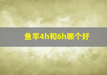 鱼竿4h和6h哪个好