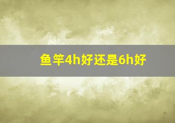 鱼竿4h好还是6h好