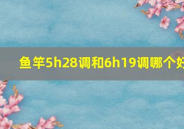 鱼竿5h28调和6h19调哪个好