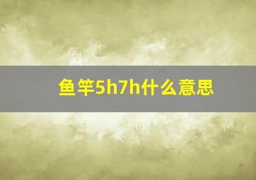 鱼竿5h7h什么意思