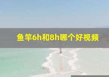 鱼竿6h和8h哪个好视频