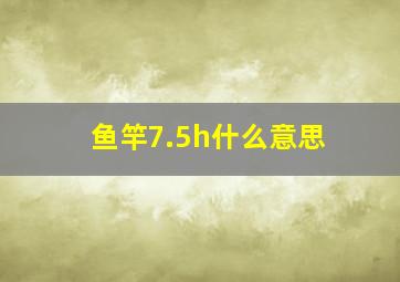 鱼竿7.5h什么意思