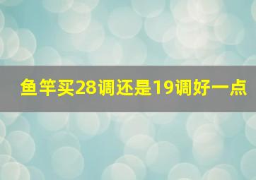 鱼竿买28调还是19调好一点