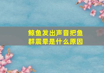 鲸鱼发出声音把鱼群震晕是什么原因