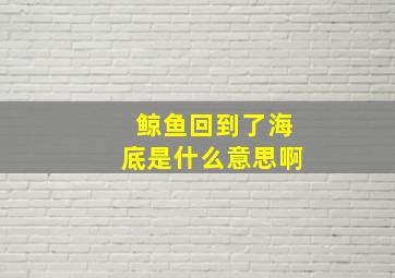 鲸鱼回到了海底是什么意思啊