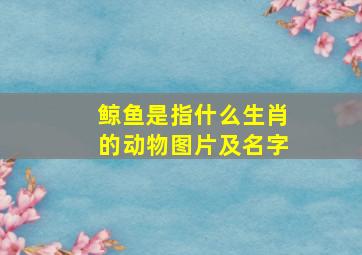 鲸鱼是指什么生肖的动物图片及名字