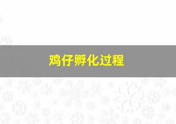 鸡仔孵化过程