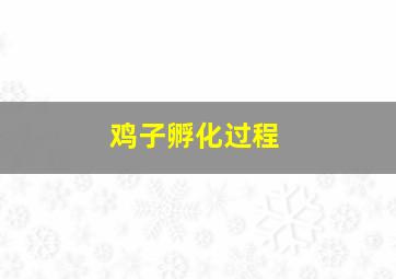 鸡子孵化过程