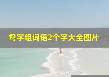 鸳字组词语2个字大全图片