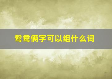 鸳鸯俩字可以组什么词