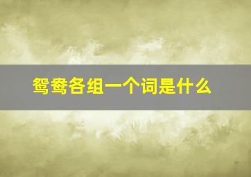 鸳鸯各组一个词是什么